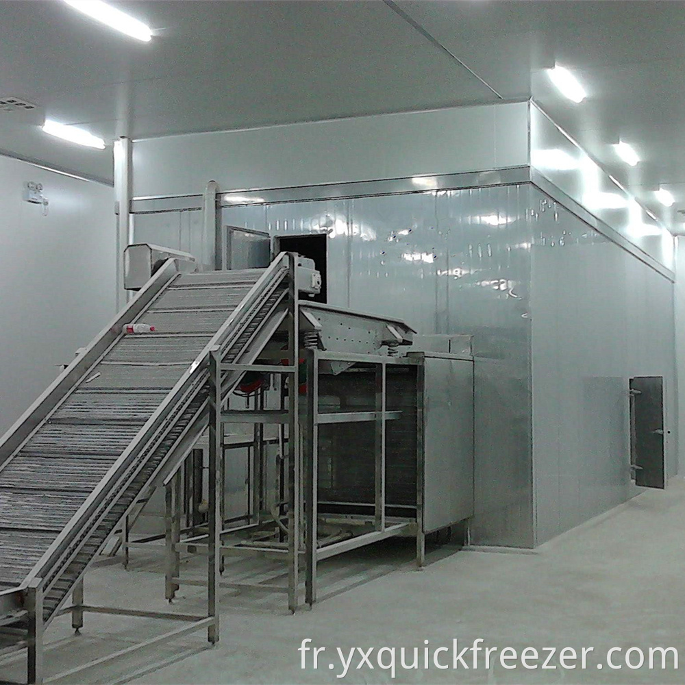 Fluidized Tunnel Freezer Installed